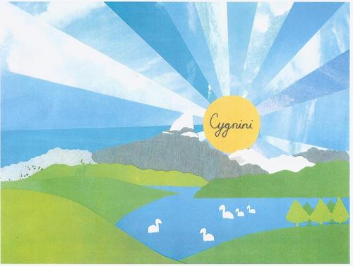 cygnini charity show